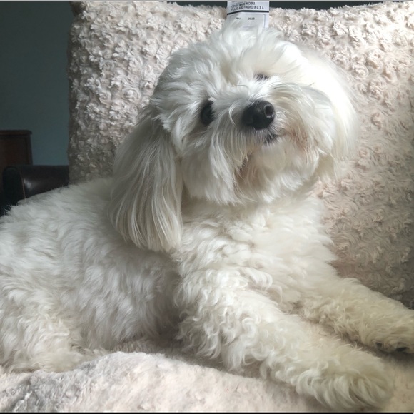 Meet your Posher, Julia - Picture 1 of 1